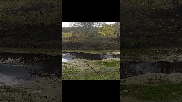 Вот она какая Сибирь