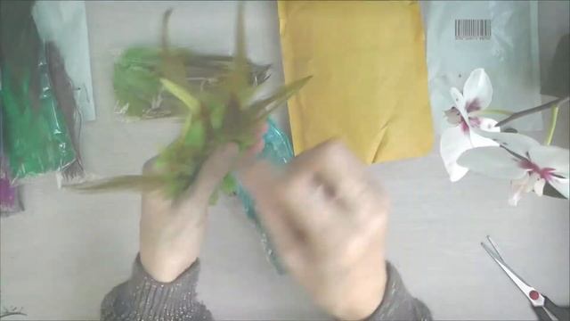 Перья птиц для рукоделия с Китая. Видео обзор посылки, распаковка. Поделки из перьев птиц (планы)