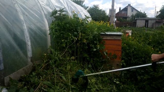 НЕ ПОВТОРЯТЬ ! ТРИММЕР КОСИТ ДАЖЕ ДЕРЕВЬЯ НА ЗАРОСШЕЙ ДАЧЕ ! ОСТОРОЖНО, ГРОМКИЙ ЗВУК смотреть онлайн