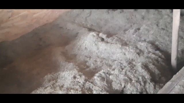 рецепт корма для кур несушек! для грануляции