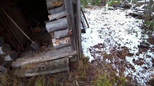 В глухой тайге изба у ручья. Раньше я тут часто ночевал. Бардак в избе, кто это сделал.