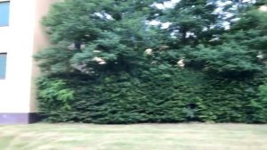 Кольцо Нибелунгов   район немецких рабочих построенный в 1932 ом