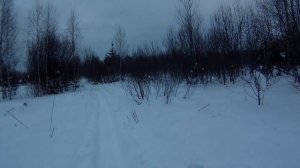 Гнездо тетерева в снегу