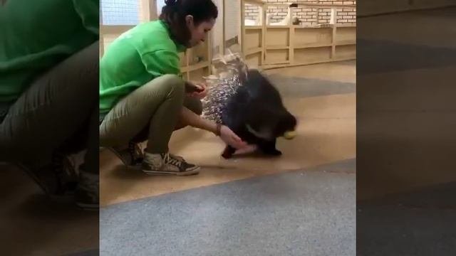 3.MP4