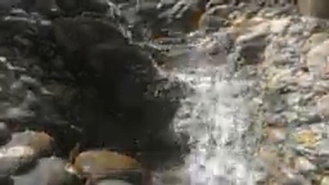 Течет ручей смотреть онлайн