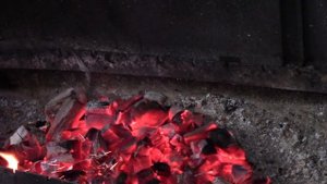 Необычный шашлык из бычьйх яиц. Деликатес. На любителя. Лампочки.