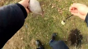 Рыбалка на Кубани.Рыбалка в феврале.Ловля леща.Ловлю на мастырку