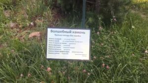 Верея. Пансионат "Акварели"