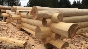 Рубка сруба бани в диком стиле