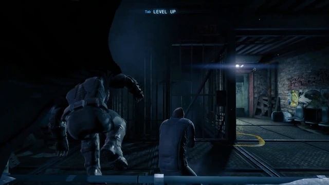 Batman Arkham Origins - GTX 550 TI /Intel Core 2 Quad Q6600 3 GHz