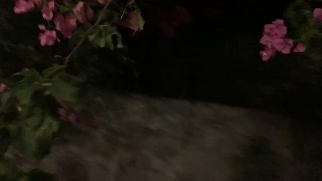 ТУРЦИЯ ?? ФЕТХИЕ/ОСТАЁМСЯ ТУТ ЖИТЬ!?? смотреть онлайн