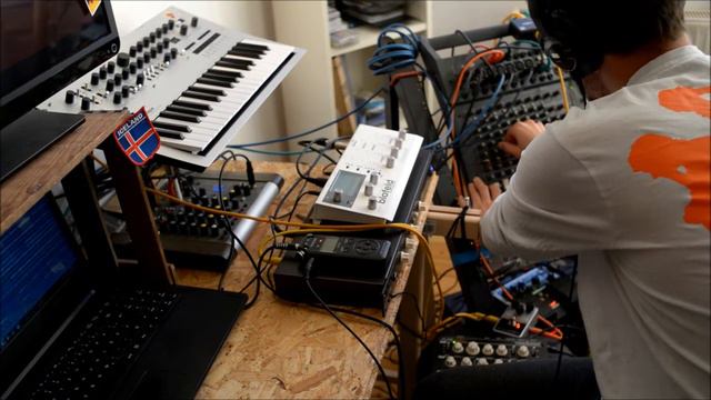 drums from the cave: Dub w/ Waldorf Blofeld / Korg Minilogue & Yamaha TX81z / Vermona VSR смотреть онлайн