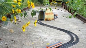 Моя Дача. Железная дорога Fenfa в саду(2018)