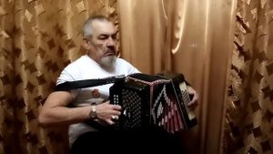#синенький скромный платочек #песня #гармонь