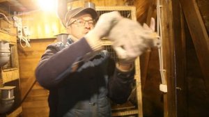 Изменения в нашем крольчатнике! Ставим по 9 самок ежемесячно! Ждём крольчат!