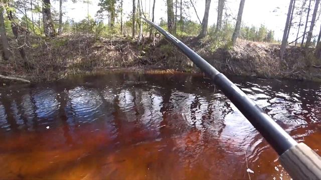 Хариус на поплавок. Рыбалка в Ленинградской области. 2020
