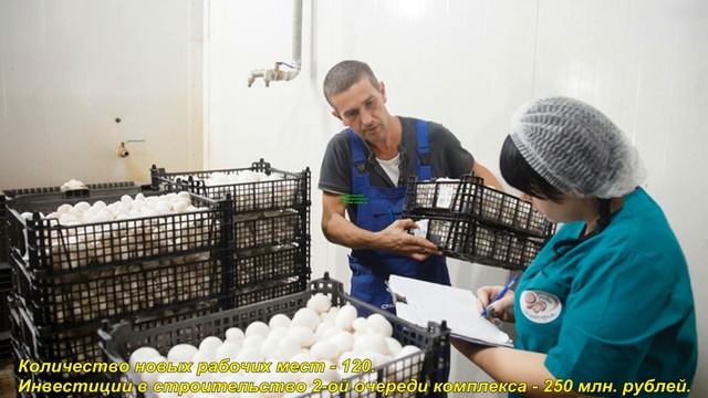 Импортозамещение 2020. Часть 1. смотреть онлайн