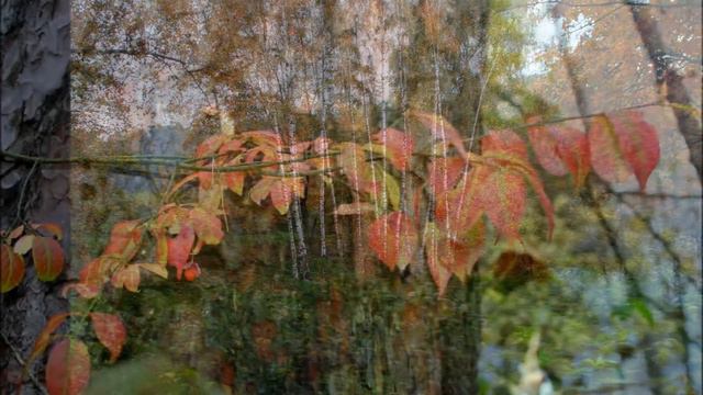 ОСЕНЬ ЗАКОНЧИЛАСЬ В ОКТЯБРЕ... (Фото Елизаветы Белоглазовой (Москва), музыка - Macrima with Dirk) смотреть онлайн
