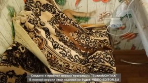 Играю с кошкой. Приготовили пирог с солеными груздями и салат с проростками