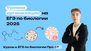 Уровни организации жизни | Курсы к ЕГЭ по Биологии ПроСТО | ЕГЭ 2025