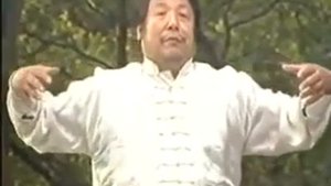 ИЦУАНЬ - ДАЧЭН !!!   Дачэн цюань Ван Сюэцзе  Dachengquan