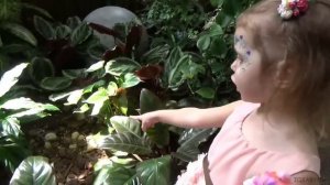 Видеообзор канал МИСС КЭТИ (Miss Katy):День рождения Кати в Дубаи!