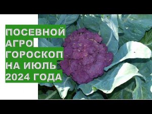 Посевной агрогороскоп на июль 2024 года Sowing agrohoroscope for July 2024