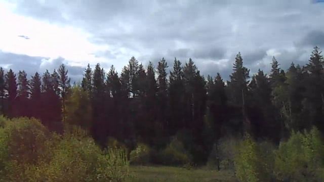 Леса и горы Южного Урала из окна