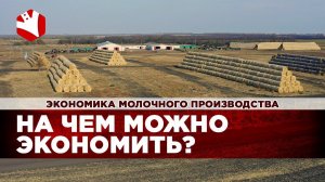 На чем можно экономить в производстве молока? | Экономика молочного животноводства