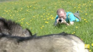 Nikon 1 J5  Обзор