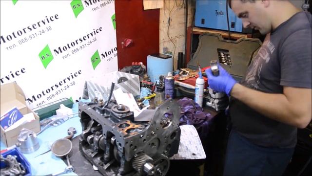 Ремонт двигателей Yanmar.B.S.Motorservice.м.Вінниця Україна