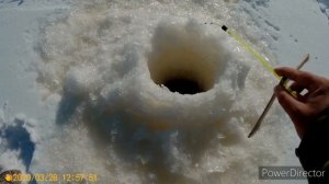 ВЕСЕННЯЯ РЫБАЛКА НА ЯМАЛЕ 2020! БЕШЕННЫЙ КЛЕВ (ЕЛЕЦ)! ПОДЛЕДНАЯ РЫБАЛКА ВЕСНОЙ НА РЕКЕ !