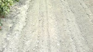 НАВЕСКА НА ОКУЧНИК ДЛЯ ПОСАДКИ ЧЕСНОКА .