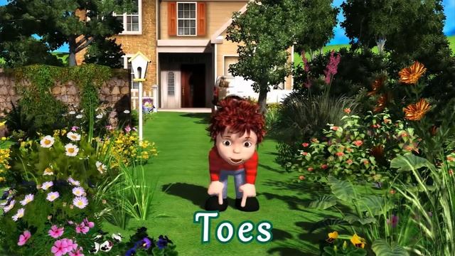 Head Shoulders Knees and Toes Classical English Song for Kids