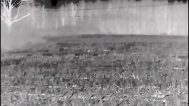 Pulsar Helion 2 xg 50. Сезон охоты 2021/22. смотреть онлайн