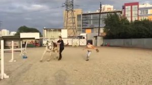 Верховая езда, немного вольтижировки с Техасом в КСК Колибри, Москва