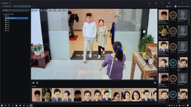 Детекция множества лиц в программе SunView смотреть онлайн