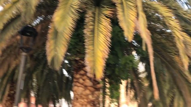 КАК ДЕШЕВО СЛЕТАТЬ В СТАМБУЛ!!! Обзор  экскурсий по  Стамбулу 2023. Советы от эксперта туриндустрии