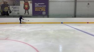 Как правильно бросить шайбу? - Полная версия