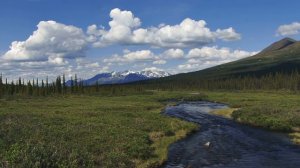 Медитация вдохновения. Лучшая медитация для женщин. Активируйте закон притяжения.