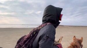 200 километров на калмыцком жеребце.Обучение лошади.Конный туризм Калмыкии