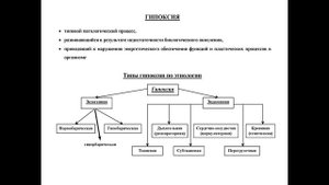 Патофизиология гипоксии Стрельченко 01