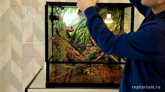 Обогрев террариума — Какая температура должна быть в террариуме смотреть онлайн
