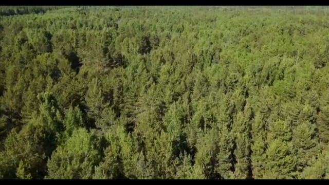 inspiring relaxation crazy beautiful land смотреть онлайн