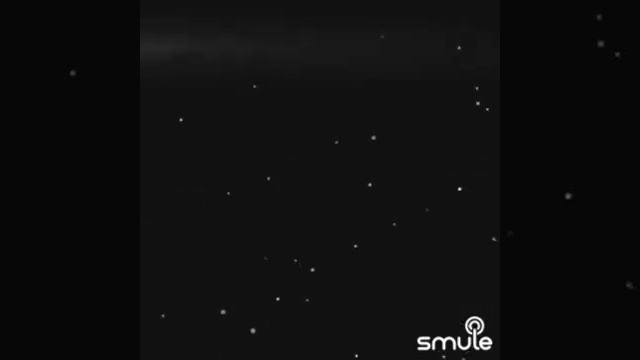 Пресвятая Дева Мати Божия Благая Богородица, не остави нас Своею Вечною и Доброю Молитвою?????? смотреть онлайн