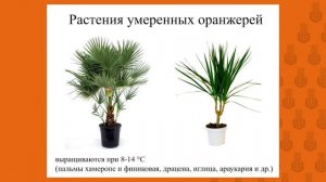 Классификация растений по отношению к свету, влаге, теплу, воде.webm