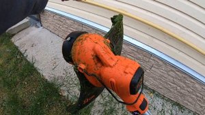 Триммер аккумуляторный BLACK+DECKER BCSTA536L1-QW 36 В