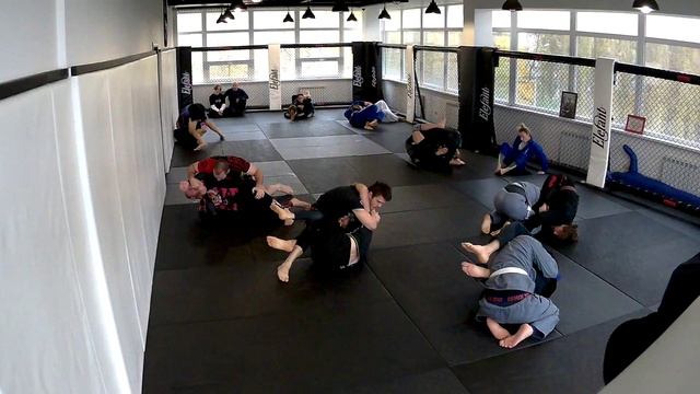 Open mat 29.10.23 Элефант (1)