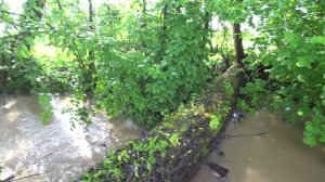 РЫБАЛКА на ПОДСАК в ЛУЖЕ !!!