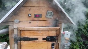 Рыба горячего копчения. Стейки зубатки.